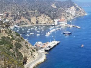 Avalon Harbor on Catalina