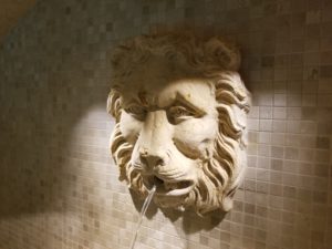 lion-fountain-center-for-wellbeing